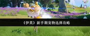 伊莫新手期如何选择宠物