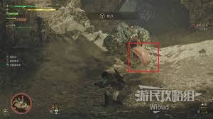 怪物猎人荒野缠蛙能掉落哪些素材