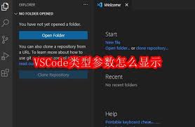 VSCode怎么显示类型参数