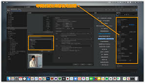 MusicBee怎么设置主播放器显示频谱图