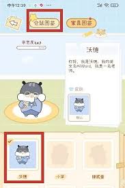 奶酪单词如何更换仓鼠