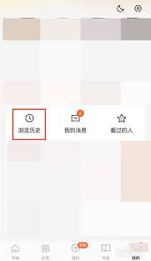 番茄小说如何查询删除记录