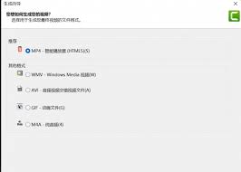 Camtasia如何保存MP4