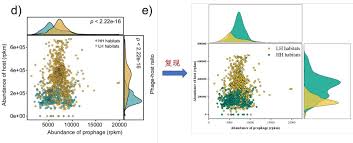 Origin怎么绘制中心散点图