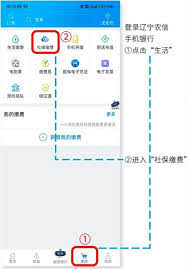 小贷管家贷款管理软件怎么设置客户标签