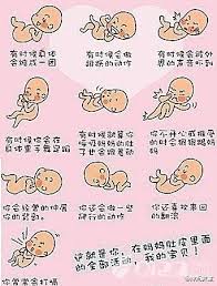 妈妈网孕育如何数胎动