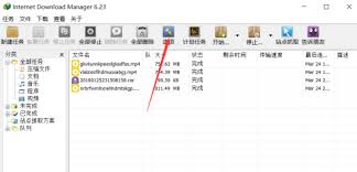 IDM下载器看视频自动跳出下载对话框如何解决
