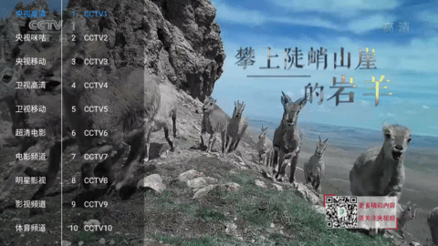 新喵影视官方正版