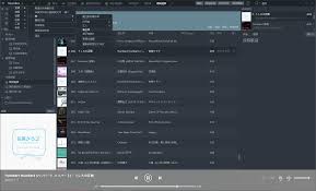 MusicBee怎么设置从播放列表删除曲目提示我