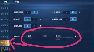 王者荣耀如何隐身上线