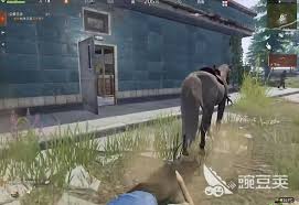 失控进化领地攻防怎么玩