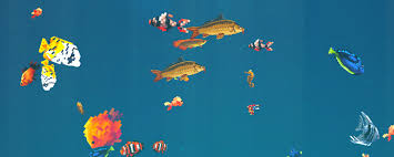 全球鱼友俱乐部新人如何玩