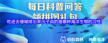 哪种海洋生物吃进去珊瑚排出来沙子