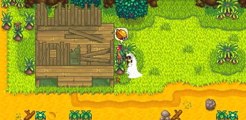 星露谷物语中的金核桃有什么作用