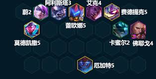 决斗佛耶戈如何搭配阵容