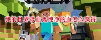 1685176-202601041229026959ec8e68fe4.jpg