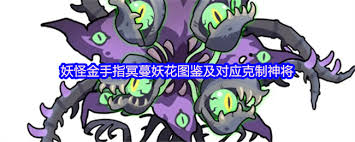 1688887-202601161213016969bacdc7007.jpg