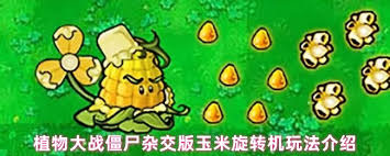 1691160-2026012316050269732bae0a853.jpg