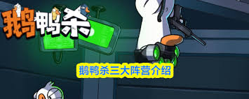 1692250-202601271313026978495e4941a.jpg