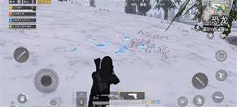1693646-202602031518016981a129bd2b6.jpg