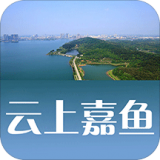 云上嘉鱼