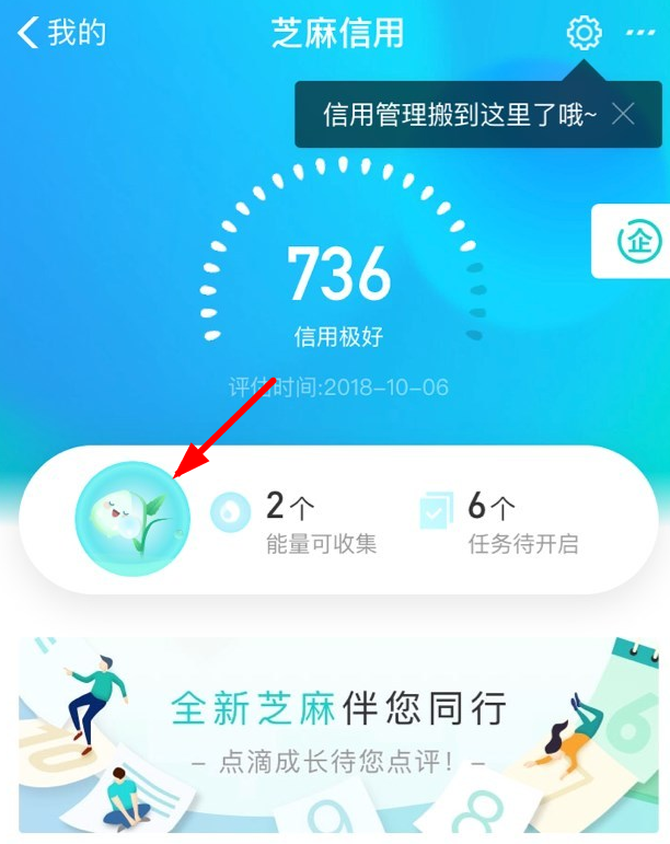 支付宝中查看信用能量的具体操作步骤