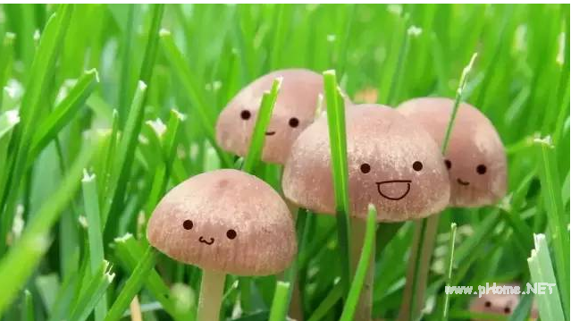 微信微粒贷怎么开通？小编教你玩转微粒贷！