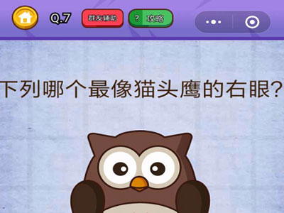 下面哪个最像猫头鹰的右眼 燃烧吧我的大脑第7关