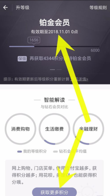 支付宝APP查看蚂蚁会员等级的具体操作