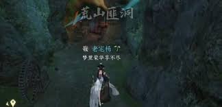 逆水寒手游幻室究秘奇遇怎么通关