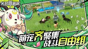 口袋新旅途如何捕捉颓颓鹰