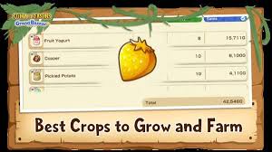 牧场物语风之繁华集市夏季作物有哪些