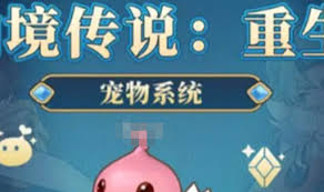 仙境传说重生如何获取宠物