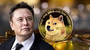 Doge币未来是否会升值