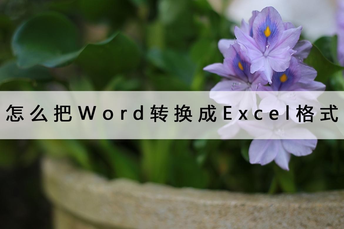 如何把Word文档转换成Excel表格