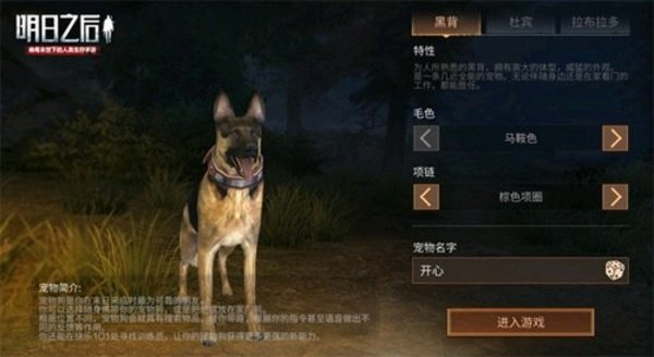 明日之后黑背和拉布拉多选哪个狗好？