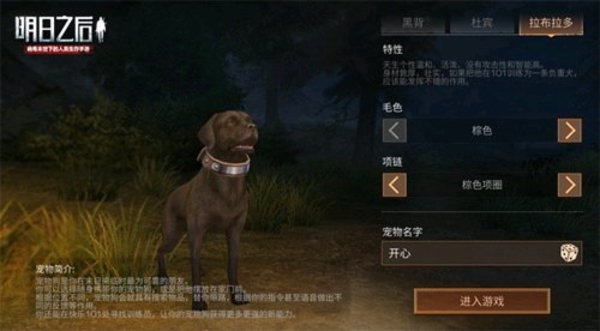 明日之后黑背和拉布拉多选哪个狗好？