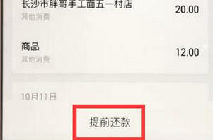 支付宝中提前结清花呗的具体操作步骤