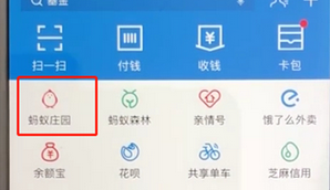 手机支付宝中饲养宠物的具体操作流程