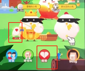 手机支付宝中饲养宠物的具体操作流程