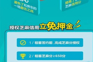手机支付宝中找到免押金租房的具体操作流程