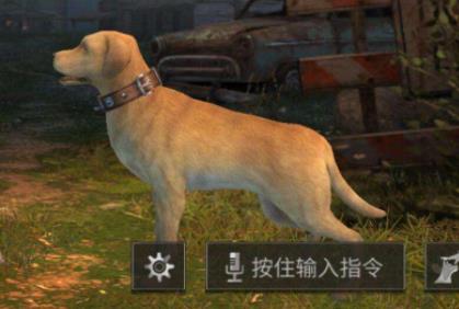 明日之后前期背包不够用怎么办？前期背包格子不够解决方法