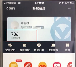 支付宝中查询蚂蚁会员积分的具体操作步骤