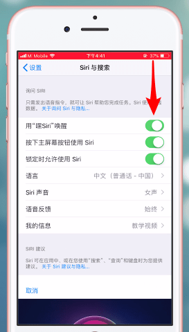 苹果手机中的将siri功能开启的具体操作步骤