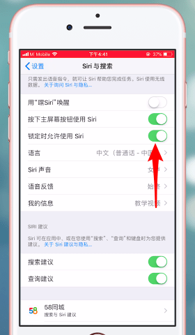 苹果手机中的将siri功能开启的具体操作步骤