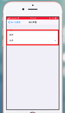 苹果手机中的将siri功能开启的具体操作步骤
