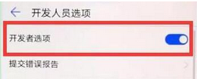 华为畅享9plus中开启开发者选项的具体操作步骤