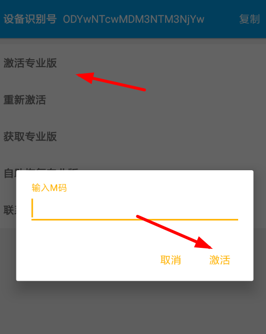 神奇磁力激活专业版的具体操作步骤
