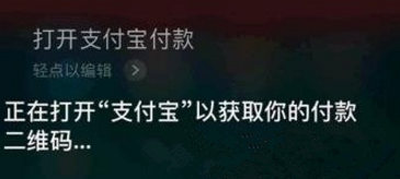 支付宝App怎么使用语音支付_详细操作步骤