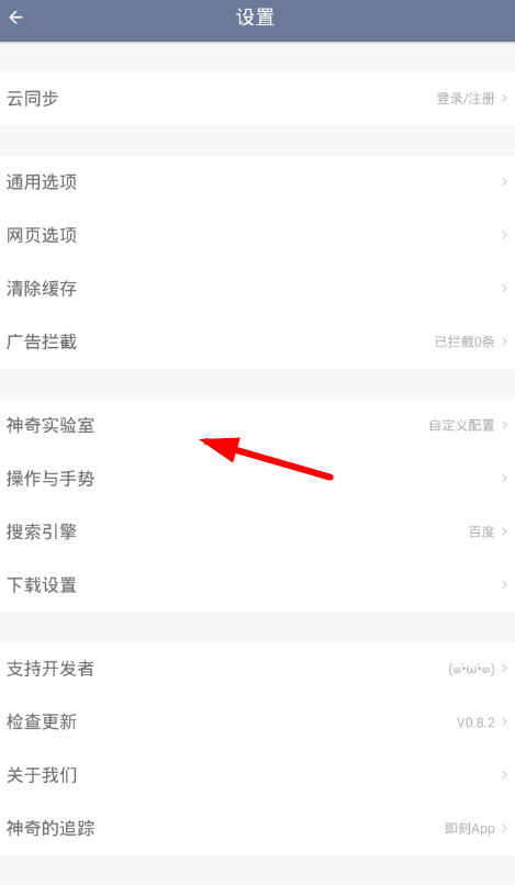 在神奇浏览器里开启天网的简单教程